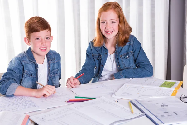 Schwester hilft Bruder bei Hausaufgaben — Stockfoto