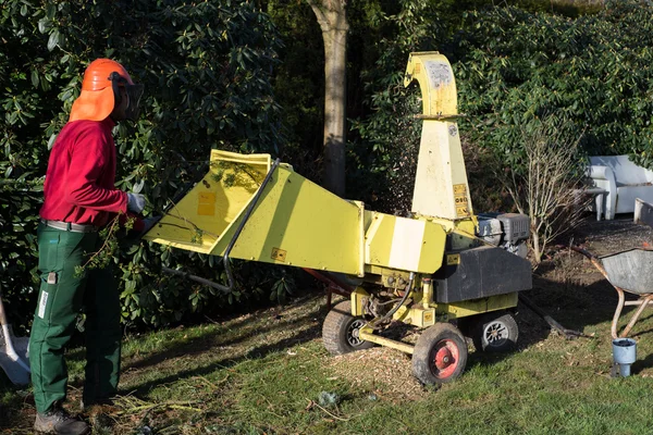 Jardineiro carregando triturador de madeira com ramos cortados — Fotografia de Stock