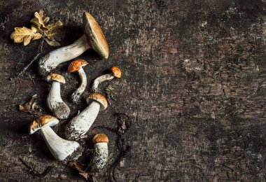 Porcini mantarlı sonbahar kompozisyonu ve eski koyu ahşap arka planda meşe yaprakları. Düz yat, boşluğu kopyala