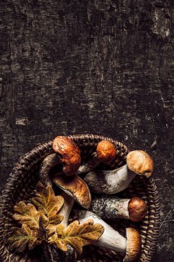 Porcini mantarlı sonbahar kompozisyonu ve eski koyu ahşap arka planda meşe yaprakları. Düz yat, boşluğu kopyala