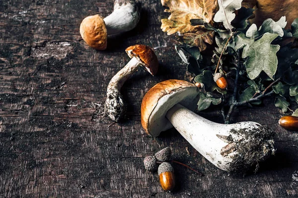 Herfst Compositie Met Porcini Champignons Eikels Eikenbladeren Donkere Oude Houten — Stockfoto