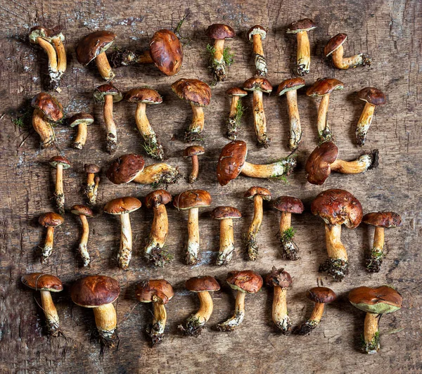 Hösten Sammansättning Med Boletus Svamp Den Gamla Trä Bakgrund — Stockfoto