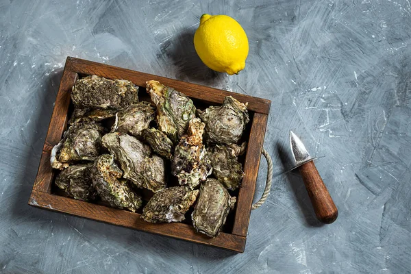 Huîtres France Dans Une Boîte Bois Vieux Couteau Huîtres Citron — Photo