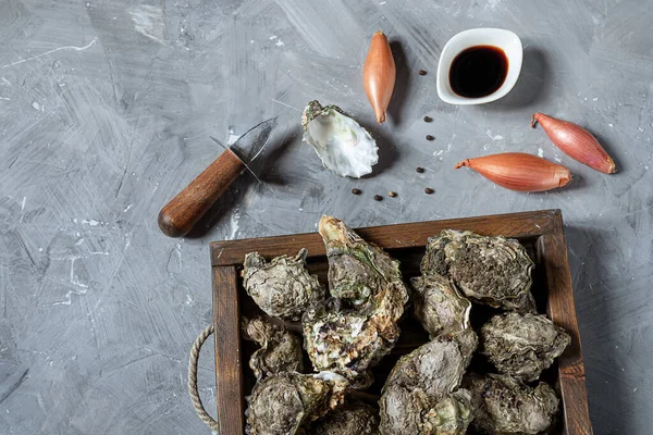 Färska Ostron Trälåda Och Ingredienser Till Ett Traditionellt Franskt Recept — Stockfoto