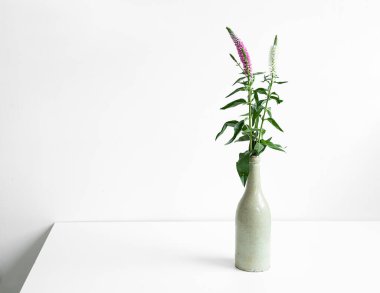 Beyaz arka planda eski seramik gri bir şişedeki çiçekler, minimalizm kavramı ve doğayla bağlantı.