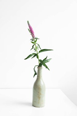 Hafif arka planda çiçek olan eski bir seramik gri şişe, minimalist ev dekorasyonu, dikey