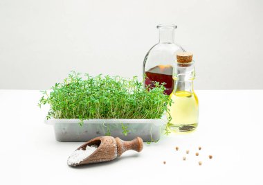 Evde mikro yeşil su teresi filizlendirilmiş bir kutu sebze yağı, mutfak masasında tuz ve biber, sağlıklı yiyecek ve süper yiyecek konsepti.