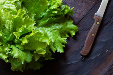 Sebze bahçesinden taze organik salata ve eski ahşap bir masada bıçak. Kendi yiyeceğinizi yetiştirme ve yetiştirme kavramı.