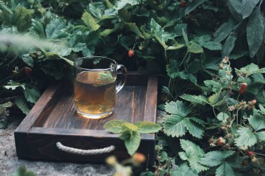Bahçedeki ahşap tepside bir fincan nane çayı, yabani çilekler, doğa ve yavaş yaşam konsepti.