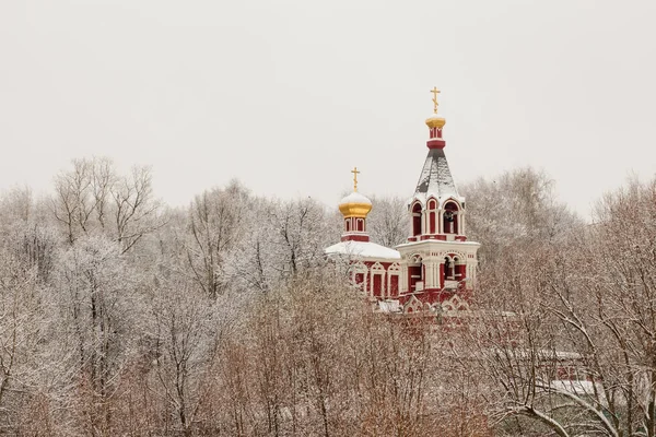 Церковь Паращевы Света Петка Юге России Зима Снежный Покров — стоковое фото