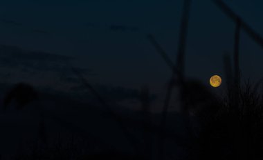 31 Aralık 'ta Baltık Denizi' ndeki Puck Körfezi üzerinde gün doğumu