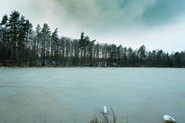Kara Göl 'e giden orman yolunda buzla kaplı küçük bir orman gölü, Mierzyno, Ocak