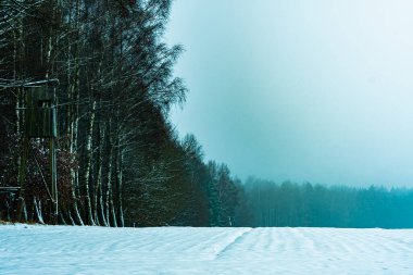 Potegowo, Pomorskie, açık kış havası, ormanın kenarındaki karla kaplı tarla.