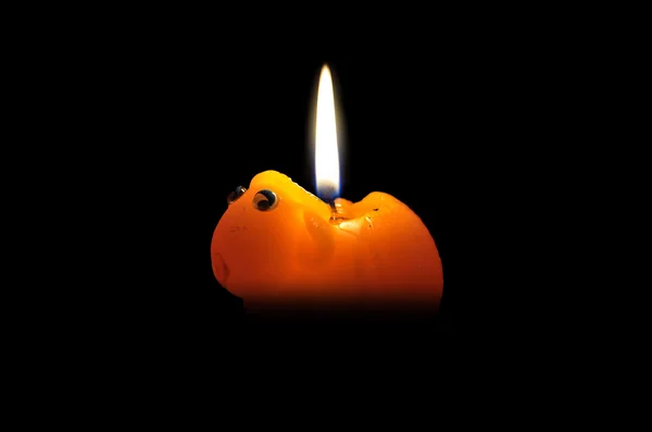 candle in the form of a sheep