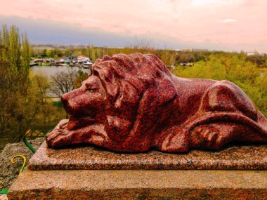 Gün batımında gurur aslan uyuyor