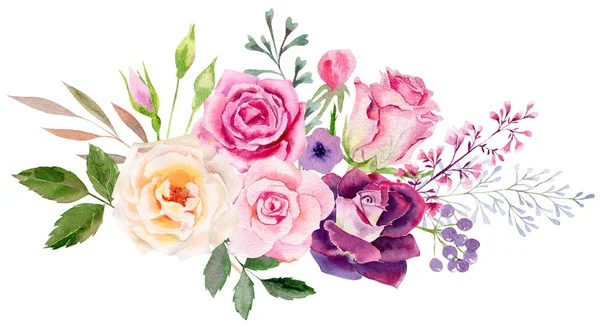 Modèle de clipart aquarelle peinte à la main de roses — Photo