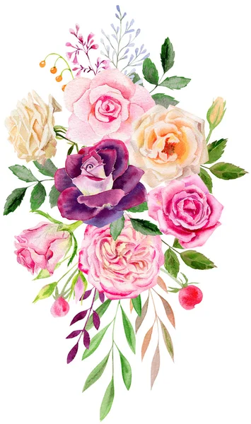 Modèle de clipart aquarelle peinte à la main de roses — Photo