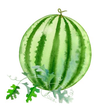 suluboya el karpuz boyalı