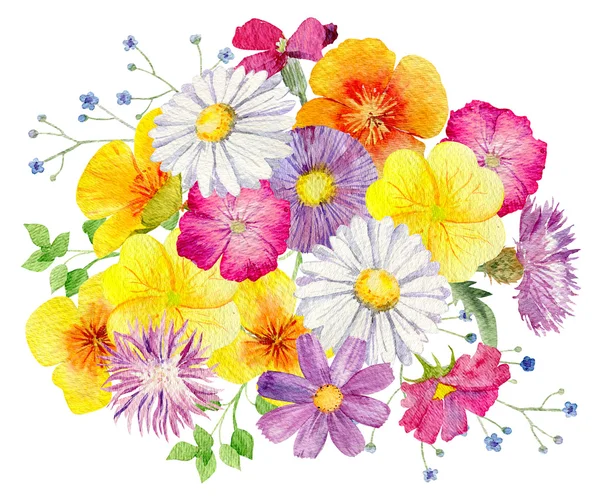야생 꽃의 손으로 그린 수채화 모형 클립 아트 템플릿 — 스톡 사진