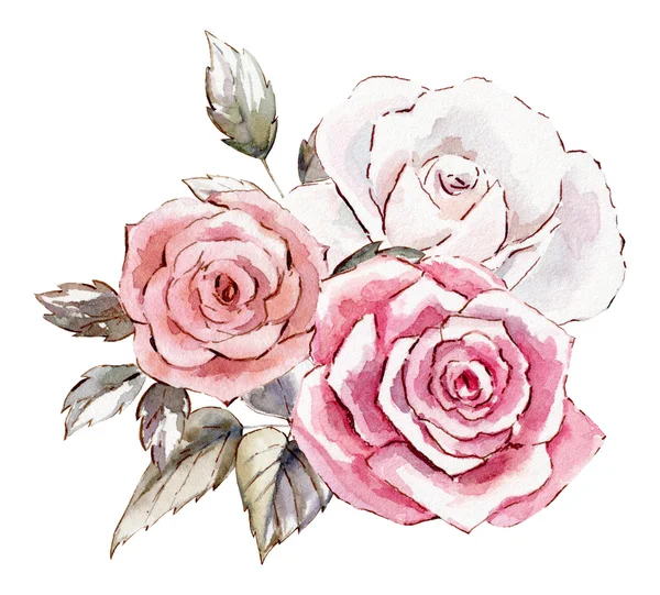 Modèle de clipart aquarelle peinte à la main de roses — Photo