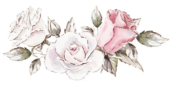 Modèle de clipart aquarelle peinte à la main de roses — Photo
