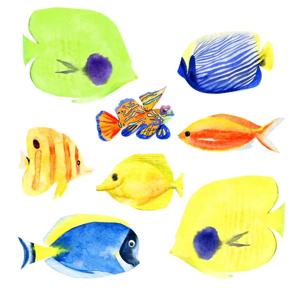 Set of watecolor coral fish clipart — Stock Photo, Image