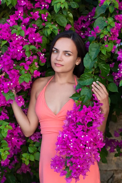 Retrato de joven hermosa mujer chica en el fondo de bougainv — Foto de Stock