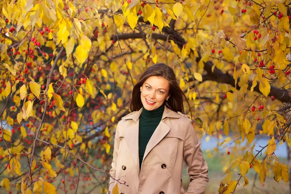 Ritratto di giovane bella donna su sfondo autunnale — Foto Stock