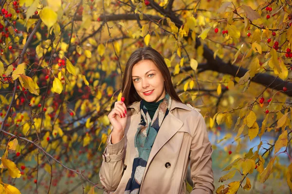 Portrait of young beautiful woman girl on autumn background — Stock Photo, Image