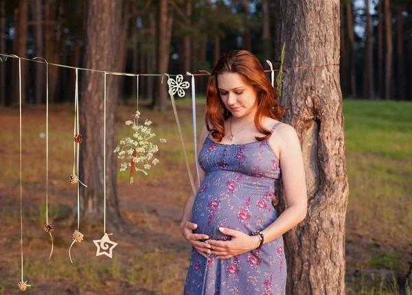 Schöne glückliche schwangere Frau Mädchen im Freien in Kiefer Nadelbaum — Stockfoto