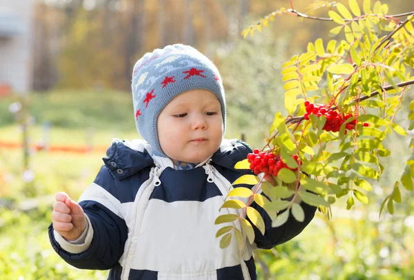 Kind kind jongetje op herfst achtergrond spelen met bessen — Stockfoto