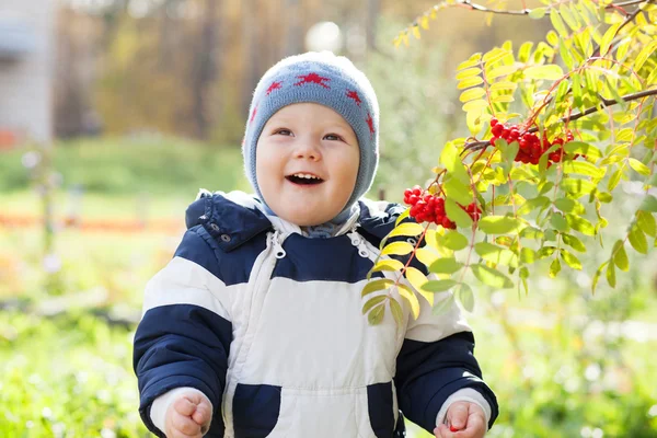 果実と遊ぶ秋の背景で子供子供男の子 — ストック写真