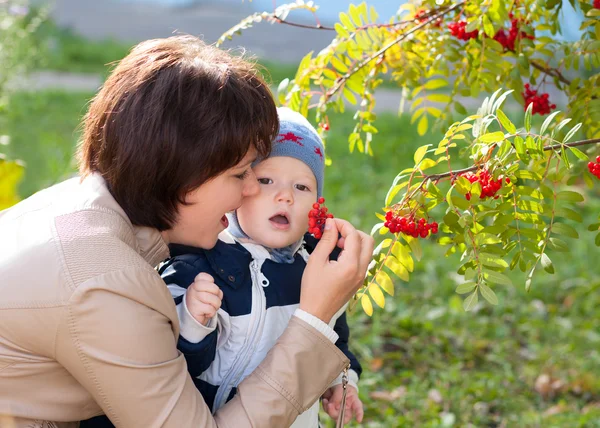 Κορίτσι γυναίκα νεαρή μητέρα και μωρό παιδί γιος τρώει μούρα φθινόπωρο — Φωτογραφία Αρχείου