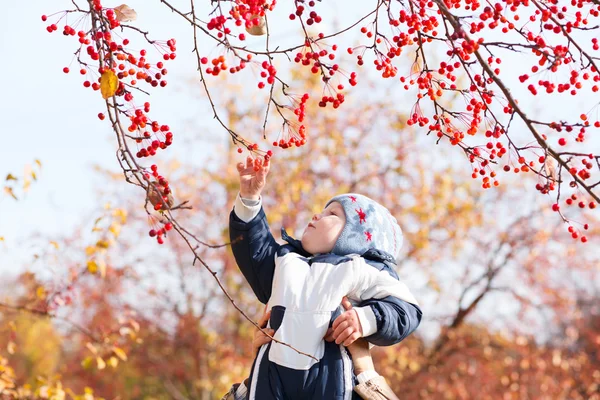 Kind kind jongetje op herfst achtergrond spelen met bessen — Stockfoto