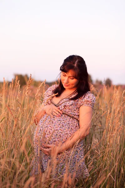 Bella felice giovane donna incinta ragazza in campo tenendo pancia — Foto Stock