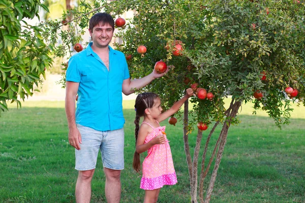 Familj i trädgården på bakgrund av granatäpple träd — Stockfoto