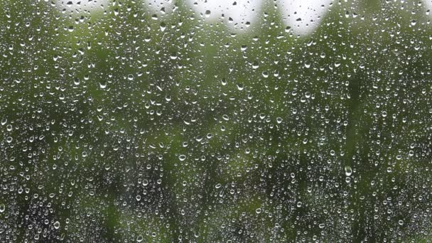 Gotas de lluvia sobre vidrio — Vídeo de stock