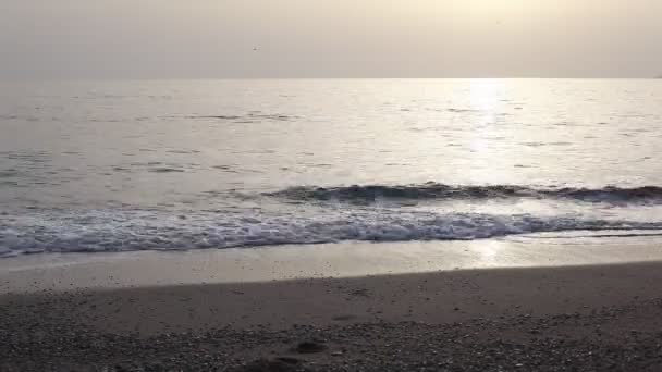 Silhuetas de mulher menina e criança criança filha correndo no pôr do sol mar — Vídeo de Stock