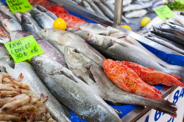 Türk balık pazarında taze deniz ürünleri