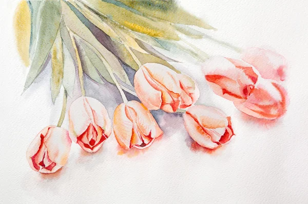 Tulipas aquarela amarela — Fotografia de Stock