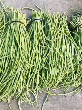 Bir demet taze fasulye. .