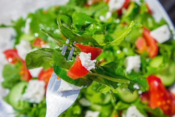 Salat mit Rucola — Stockfoto