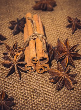 yıldız anason ve tarçın baharat