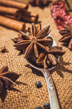 yıldız anason ve tarçın baharat