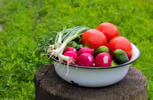 Fresh ripe vegetables — Stock Photo, Image