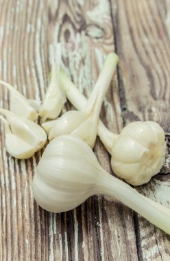 Genç taze sarımsak