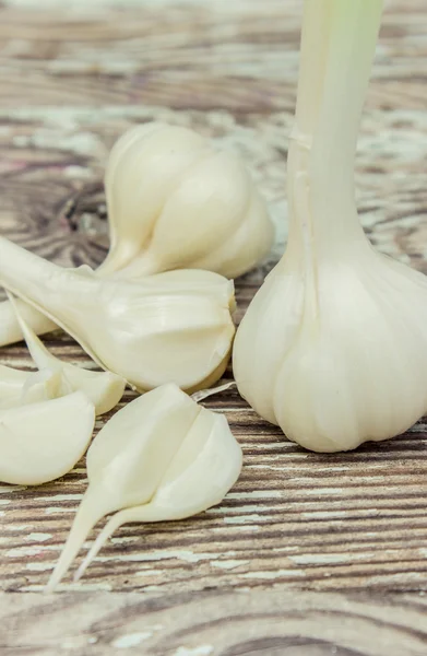 Frischer junger Knoblauch — Stockfoto