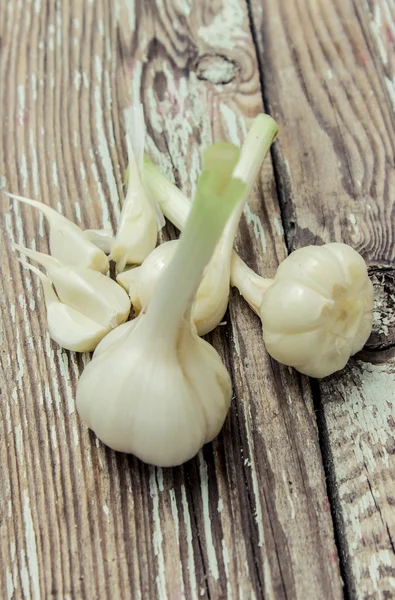 Fresh young garlic — Stock Photo, Image