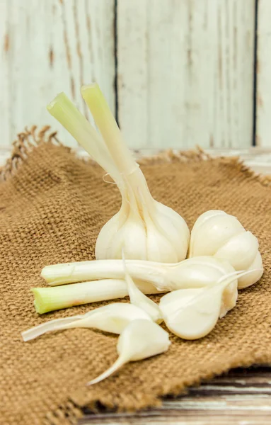 Fresh young garlic — Stock Photo, Image