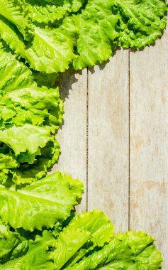 Ispanak salatası arka plan